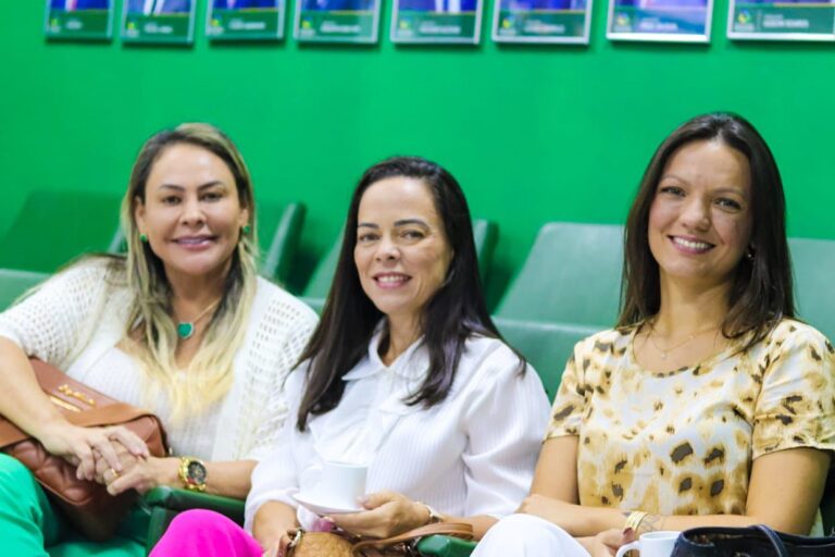 camara-municipal-de-araguaina-destaca-importancia-de-mulheres-a-frente-da-saude