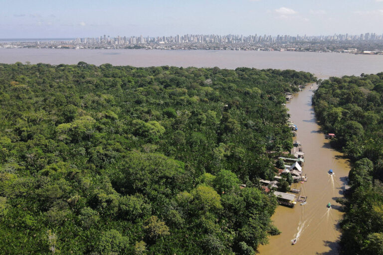 dados-de-desmatamento-dao-alivio-para-o-para-as-vesperas-da-cop30