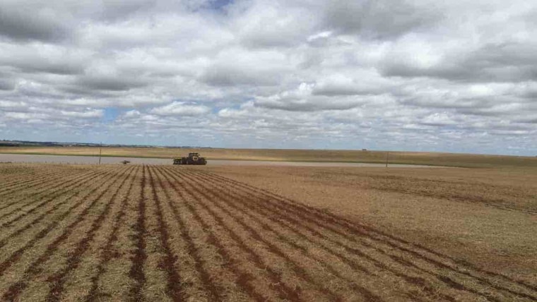 Com poucas chuvas, produtores do Tocantins temem grandes perdas na safra 2025/26 com-poucas-chuvas,-produtores-do-tocantins-temem-grandes-perdas-na-safra-2025/26