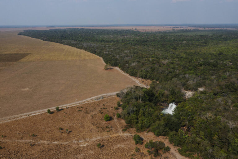 governador-de-mt-quer-ir-a-justica-contra-decreto-de-lula-sobre-demarcacao-de-terras-indigenas