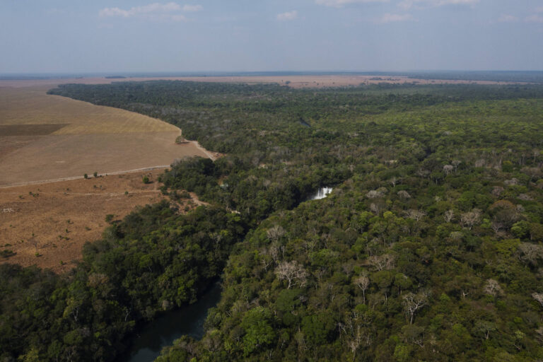 mato-grosso-aciona-stf-contra-demarcacao-de-terra-indigena-anunciada-por-lula-na-cop30