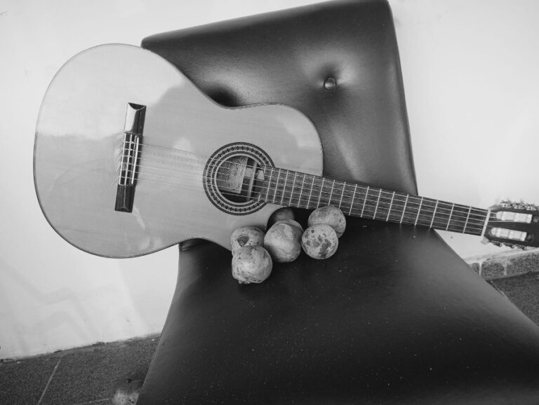 tribunal-de-contas-suspende-show-milionario-no-bico-do-papagaio