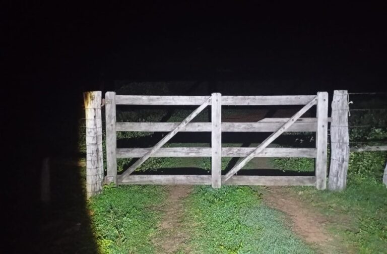 o-tocantins-nao-pode-entrar-no-escuro