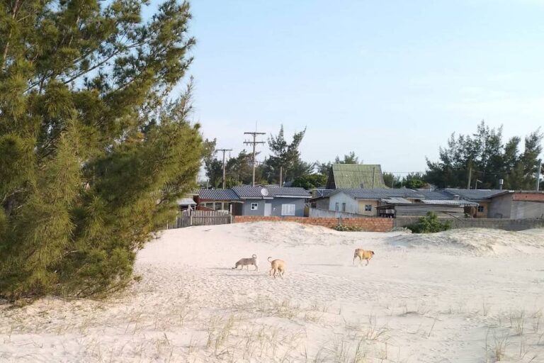 dunas-moveis-invadem-casas-e-desafiam-urbanizacao-no-litoral-do-rio-grande-do-sul