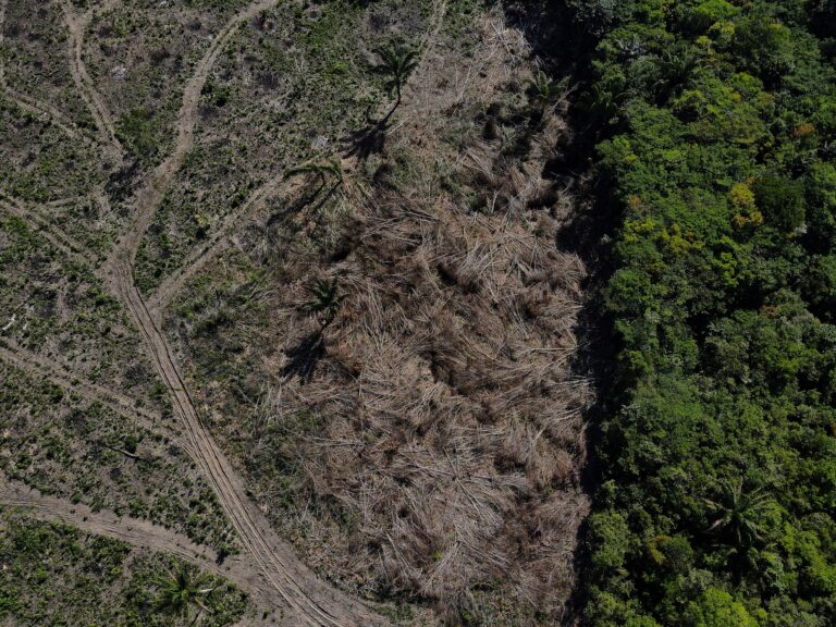 Desmatamento na Amazônia cai 17% no 1º trimestre, mas volta a subir em março desmatamento-na-amazonia-cai-17%-no-1o-trimestre,-mas-volta-a-subir-em-marco