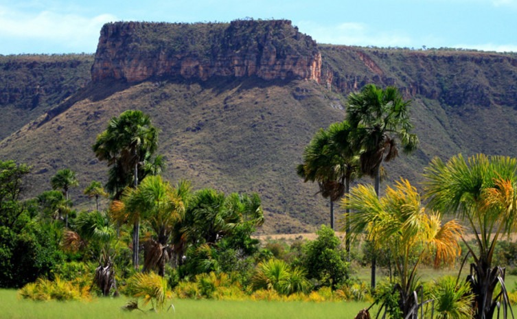 Tocantins conquista 1º lugar em sustentabilidade no país tocantins-conquista-1o-lugar-em-sustentabilidade-no-pais