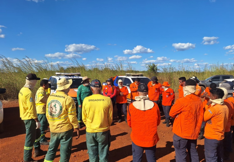 agentes-da-defesa-civil-de-palmas-passam-por-treinamento-sobre-uso-controlado-do-fogo;-entenda