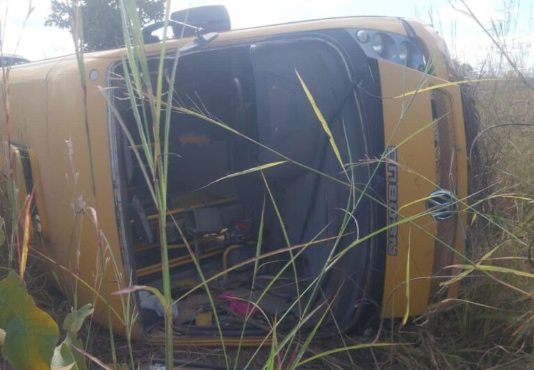 onibus-escolar-com-estudantes-tomba-na-to-010-e-um-morre,-diz-governo