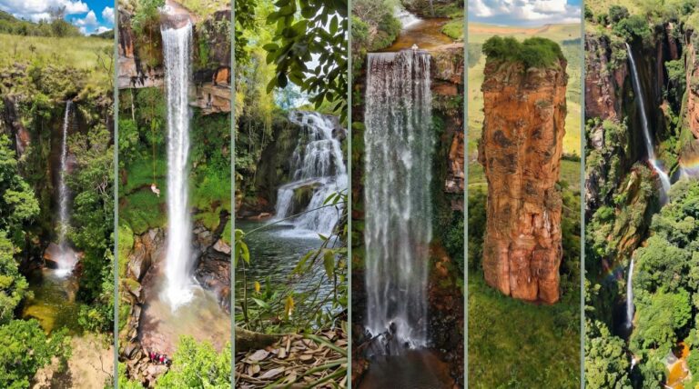 Almas sedia primeiro passeio ciclístico ecológico para fomentar o turismo nas Serras Gerais almas-sedia-primeiro-passeio-ciclistico-ecologico-para-fomentar-o-turismo-nas-serras-gerais