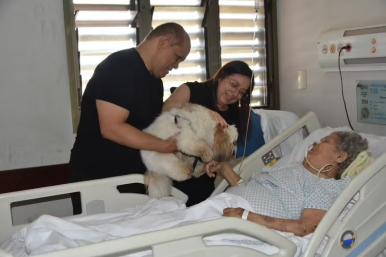 Dia do desejo: conheça projeto que fez reencontro de paciente com o cão de estimação em hospital dia-do-desejo:-conheca-projeto-que-fez-reencontro-de-paciente-com-o-cao-de-estimacao-em-hospital