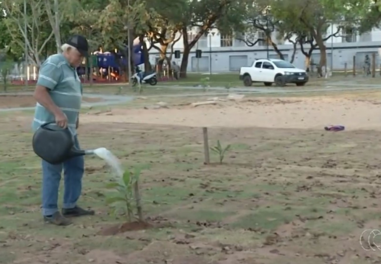Conheça o aposentado que há oito anos transforma praça de Palmas com árvores frutíferas; VÍDEO conheca-o-aposentado-que-ha-oito-anos-transforma-praca-de-palmas-com-arvores-frutiferas;-video