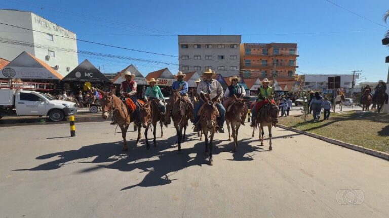 videos:-jornal-do-campo-–-to-de-domingo,-5-de-julho-de-2026