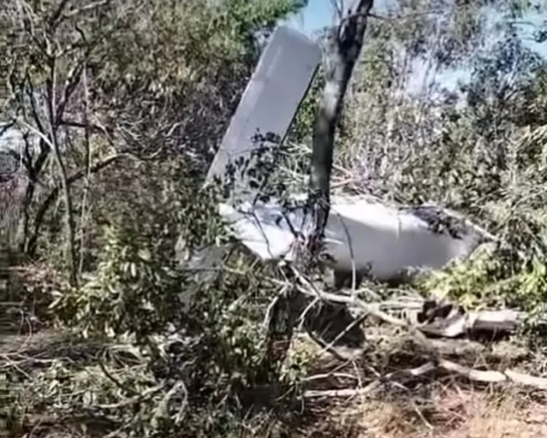 forca-aerea-investiga-queda-de-aviao-no-tocantins-que-matou-medico-e-esposa