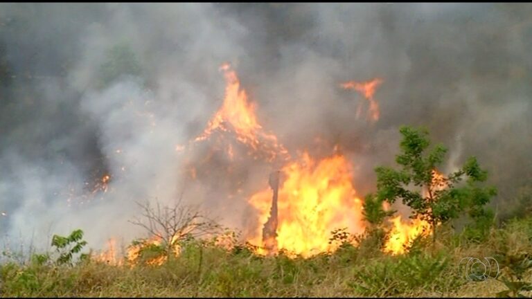 tocantins-suspende-queimas-controladas-sob-risco-critico-de-incendios;-veja-o-que-muda