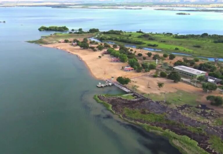 Corpo de homem é encontrado boiando em lago no interior do Tocantins corpo-de-homem-e-encontrado-boiando-em-lago-no-interior-do-tocantins