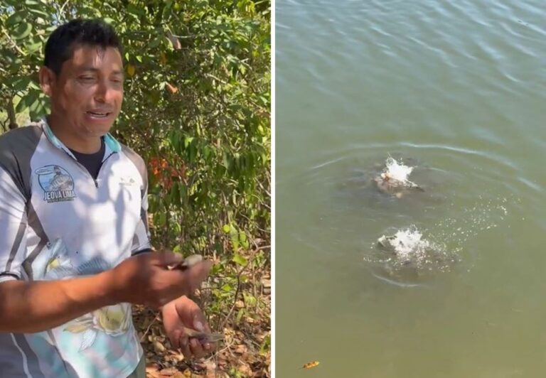 pescador-mostra-lago-repleto-de-piranhas-no-to-e-brinca:-'nao-e-bom-banhar-aqui'