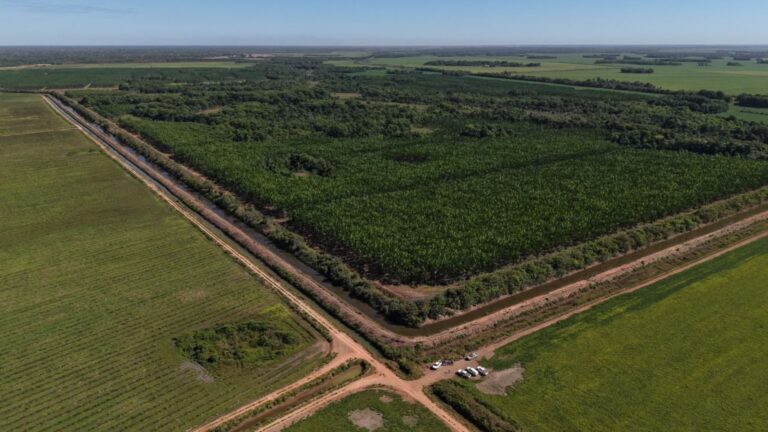 mpto-fiscaliza-captacao-de-agua-e-cumpre-medidas-ambientais-na-bacia-do-rio-formoso