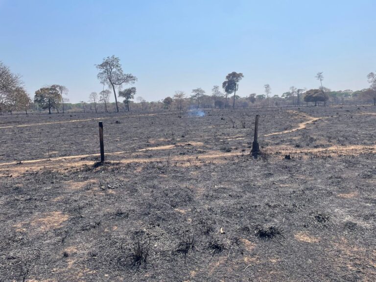 efeito-el-nino:-tce-alerta-para-risco-de-seca,-calor-extremo-e-incendios-no-tocantins