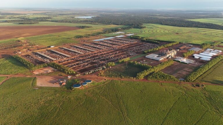 fazendas-de-confinamento-no-tocantins-tem-capacidade-para-manter-65-mil-animais-em-engorda