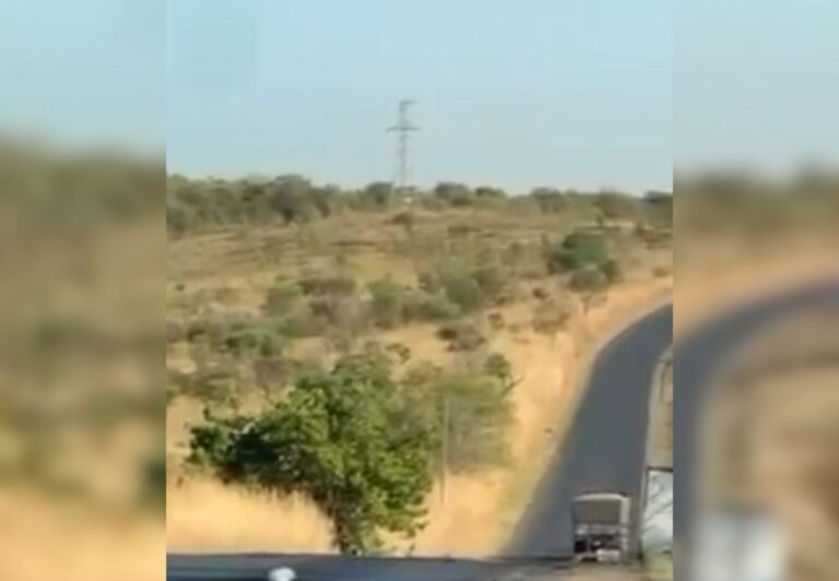 motociclista-morre-em-acidente-com-carreta-na-to-040